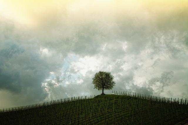 Mood Swings: A Balancing Act