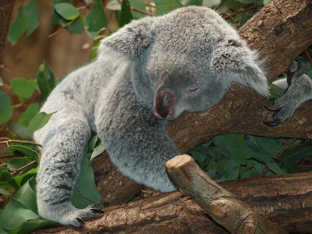Are Screens Stopping you from Sleeping?