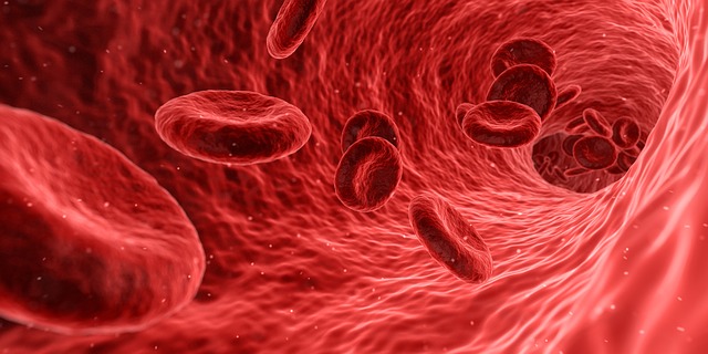 Inflammation: When a Friend Becomes a Foe