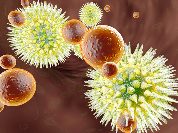 Tips for an Enhanced Immune System
