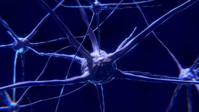Blood Flow = Brain Power