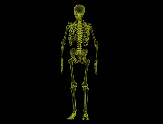 Lumbar Pressure as Determined by Posture