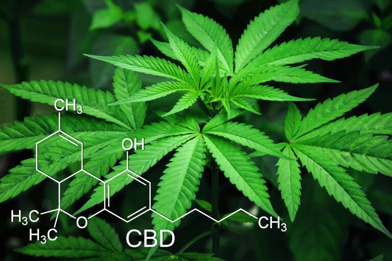 Study Finds Cannabis Compounds Prevent Infection By Covid-19 Virus