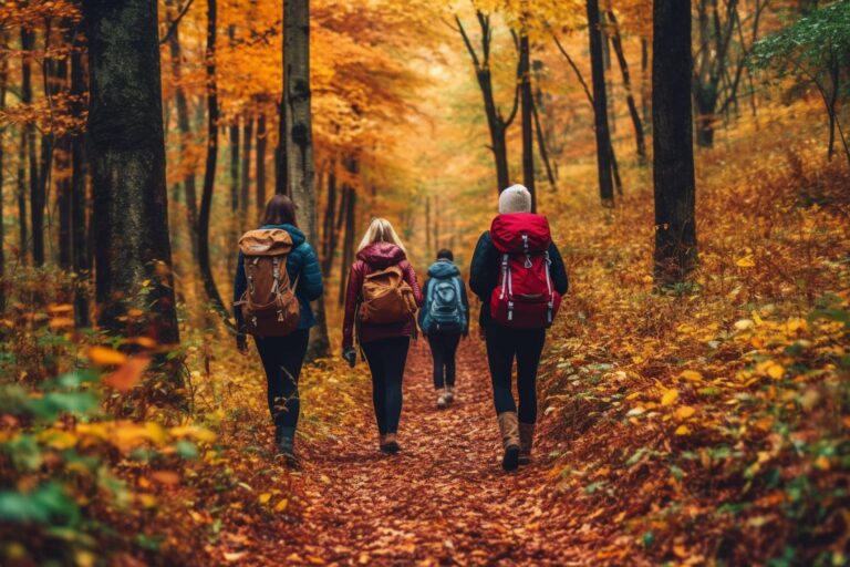 Autumn Activities
