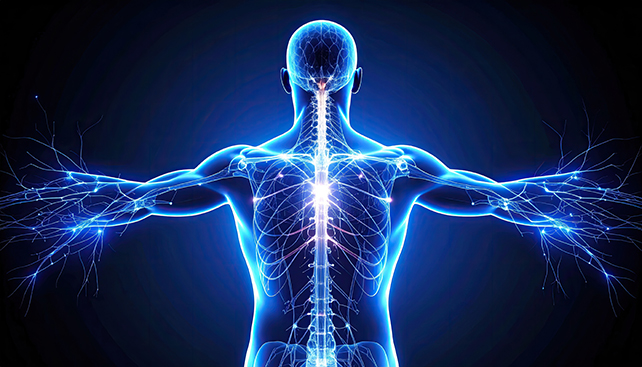 Spinal Health